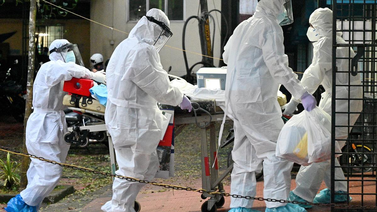 Kerala Nipah virus 2024: कारण, लक्षण, और उपचार